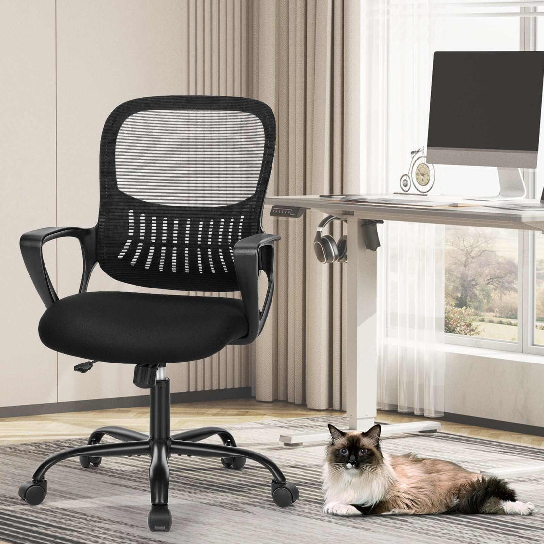 Stylish home office setup featuring an ergonomic chair and a content cat on the floor.